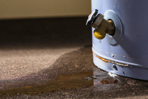 Best Basement water damage restoration  in Laguna Vista, TX