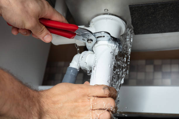 Best Mold removal after water damage  in Laguna Vista, TX