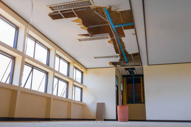 Best Flood restoration services  in Laguna Vista, TX