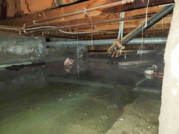 Best 24-hour water damage restoration  in Laguna Vista, TX