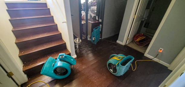 Best Residential water damage restoration  in Laguna Vista, TX
