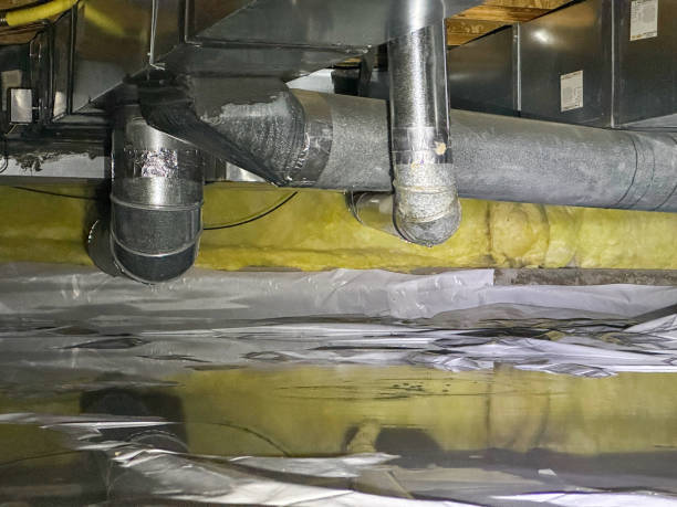 Best Carpet water damage restoration  in Laguna Vista, TX