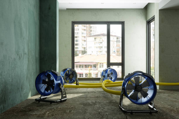 Best 24/7 water damage repair  in Laguna Vista, TX