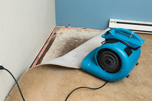 Best Water damage cleanup near me  in Laguna Vista, TX